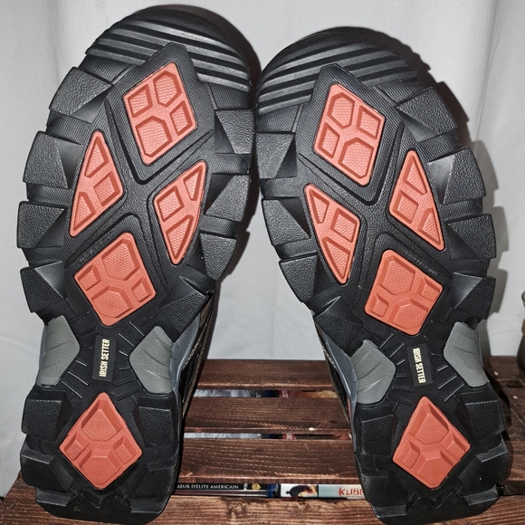 Red wing Irish setter - Picture 5 of 7